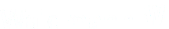 Waldmann